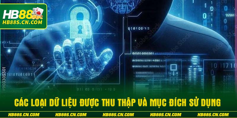 Các loại dữ liệu được thu thập và mục đích sử dụng