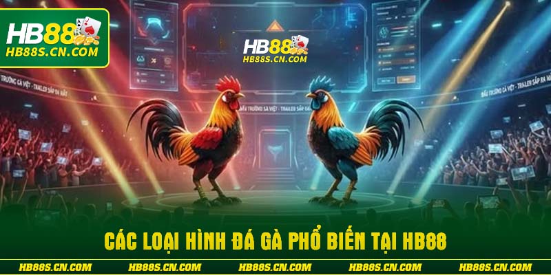 Các loại hình đá gà phổ biến tại HB88