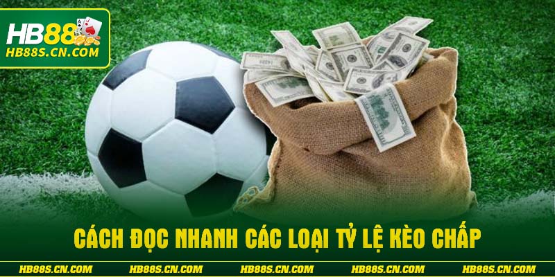 Cách đọc nhanh các loại tỷ lệ kèo chấp