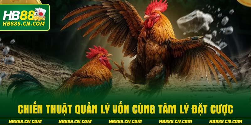 Chiến thuật quản lý vốn cùng tâm lý đặt cược