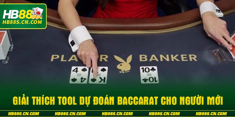 Giải thích Tool dự đoán baccarat cho người mới