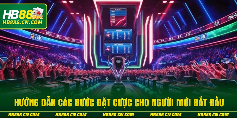 Hướng dẫn các bước đặt cược cho người mới bắt đầu