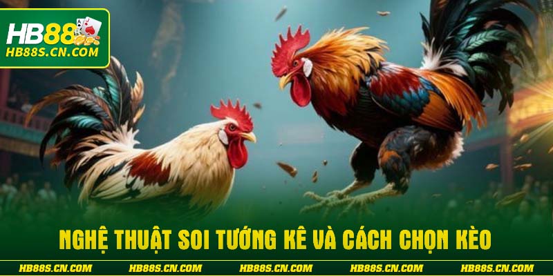 Nghệ thuật soi tướng kê và Cách chọn kèo