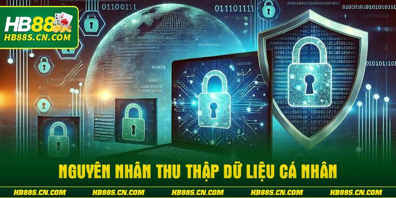 Nguyên nhân thu thập dữ liệu cá nhân