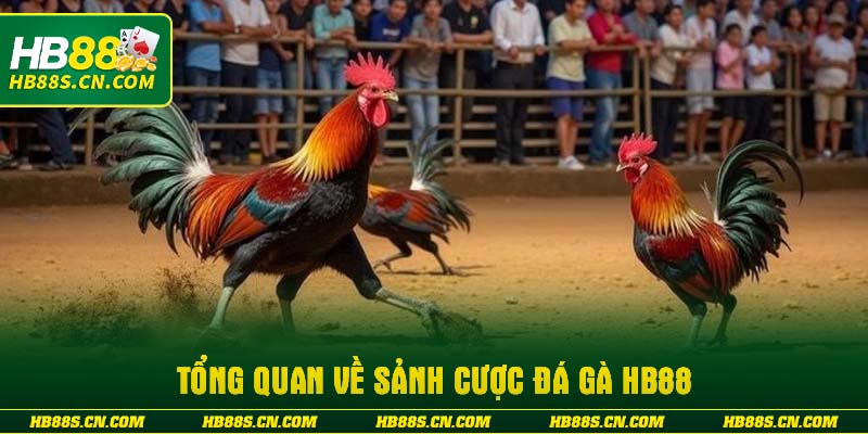 Tổng quan về sảnh cược Đá gà HB88